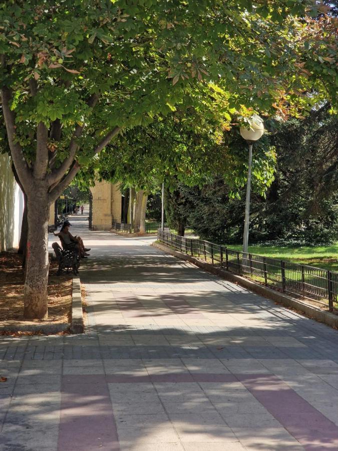 Villa Toston City Саламанка Екстериор снимка
